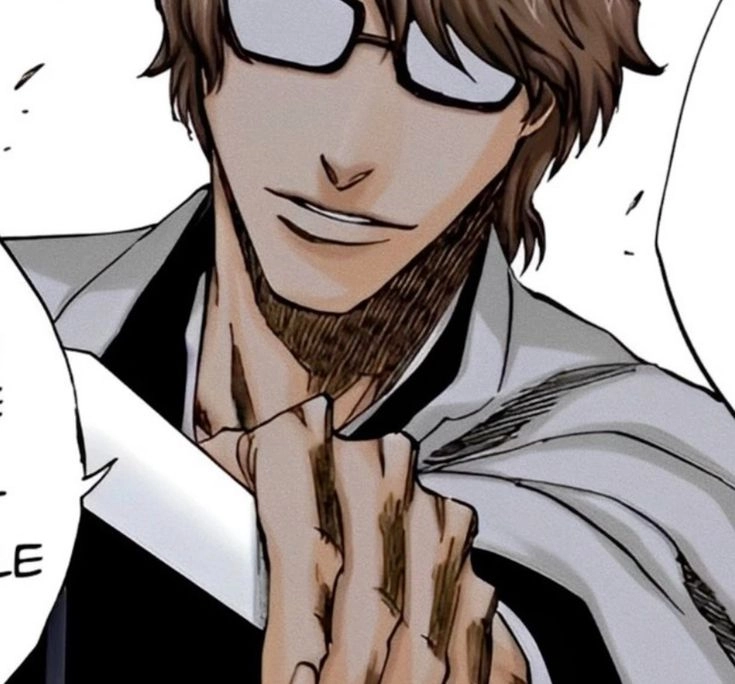 Aizen Sosuke birthday sinh nhật 29/5, ngày một phản diện vĩ đại ra đời