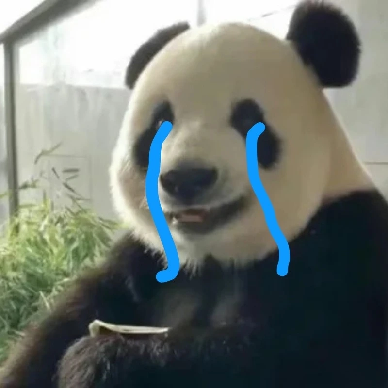 Dở khóc dở cười với meme gấu trúc khóc cười