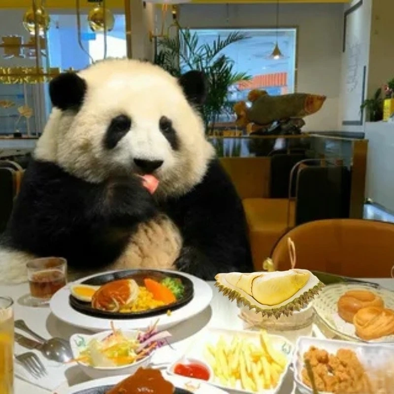 Nhìn phát thèm, meme gấu trúc sầu riêng cười bể bụng
