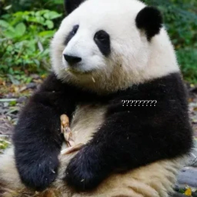 Ủa gì vậy trời? meme gấu trúc hỏi chấm lên tiếng