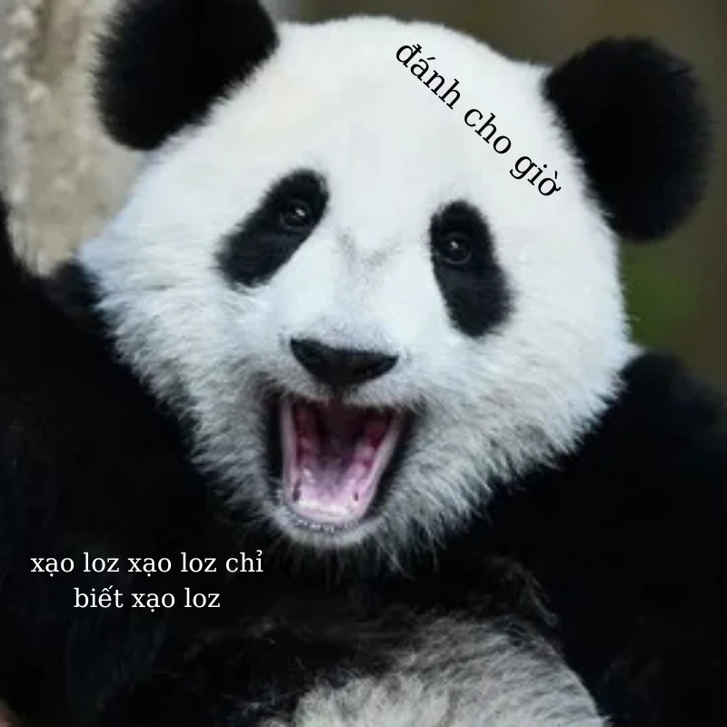 Không giỡn được đâu nha, meme gấu trúc đánh sẵn sàng