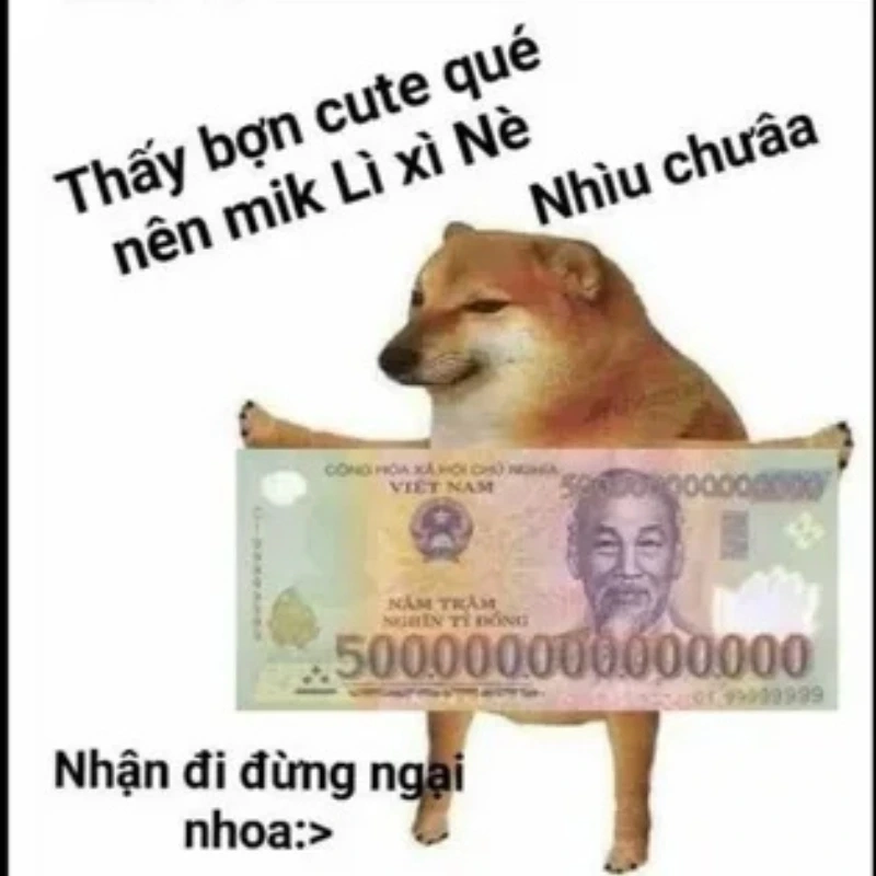 Loạt hình ảnh hài meme chó khiến bạn cười lăn lộn