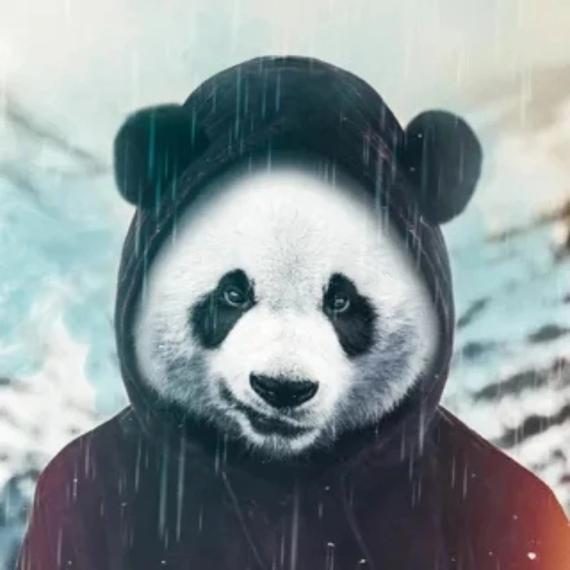 Đỉnh cao giải trí cùng ảnh meme gấu trúc trung quốc