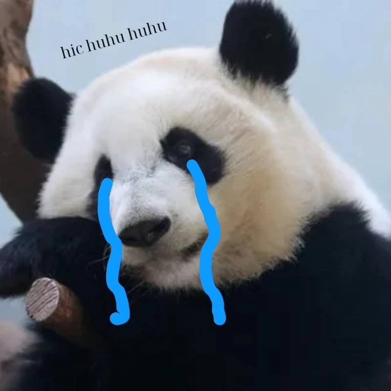 Ai đồng cảm với ảnh meme gấu trúc khóc nào