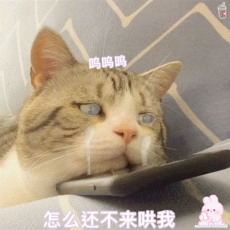 Một chiếc buồn meme mèo khóc chuẩn tâm trạng