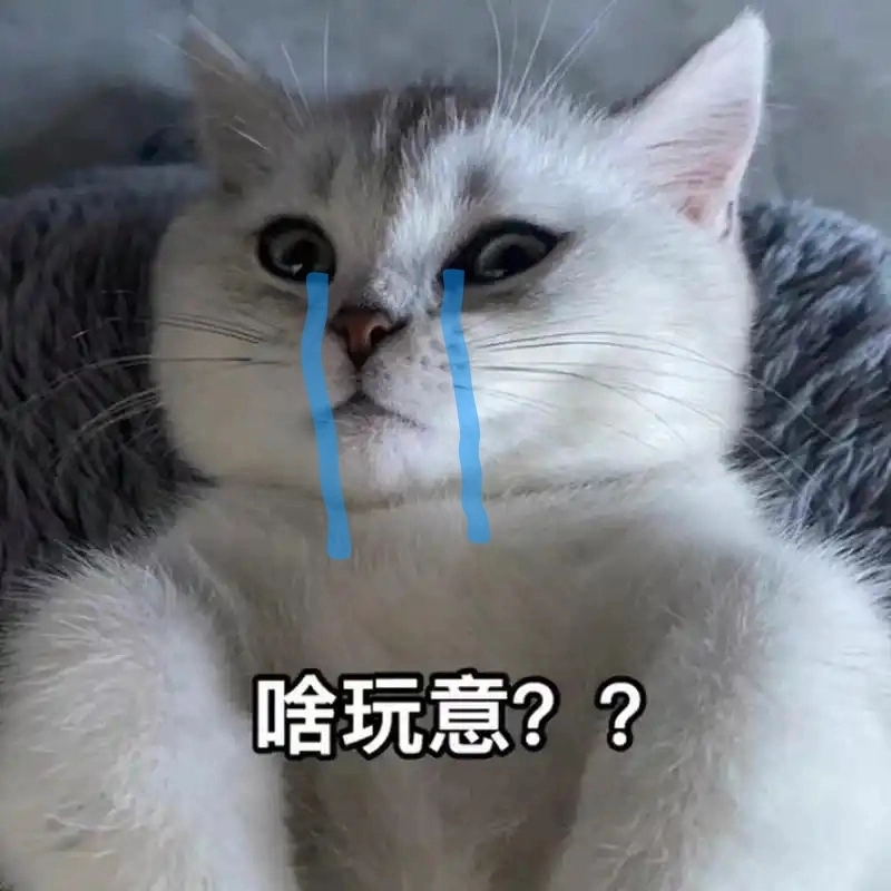 Một vô tri meme mèo khóc cute đúng nghĩa