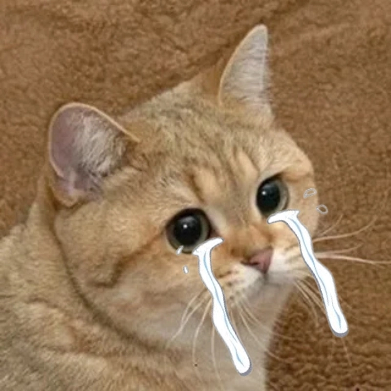 Tải ngay ảnh mèo meme khóc cho ngày buồn