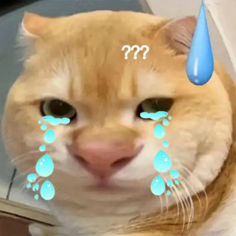 Nhìn mà cưng xỉu chú mèo hài meme mèo khóc cute