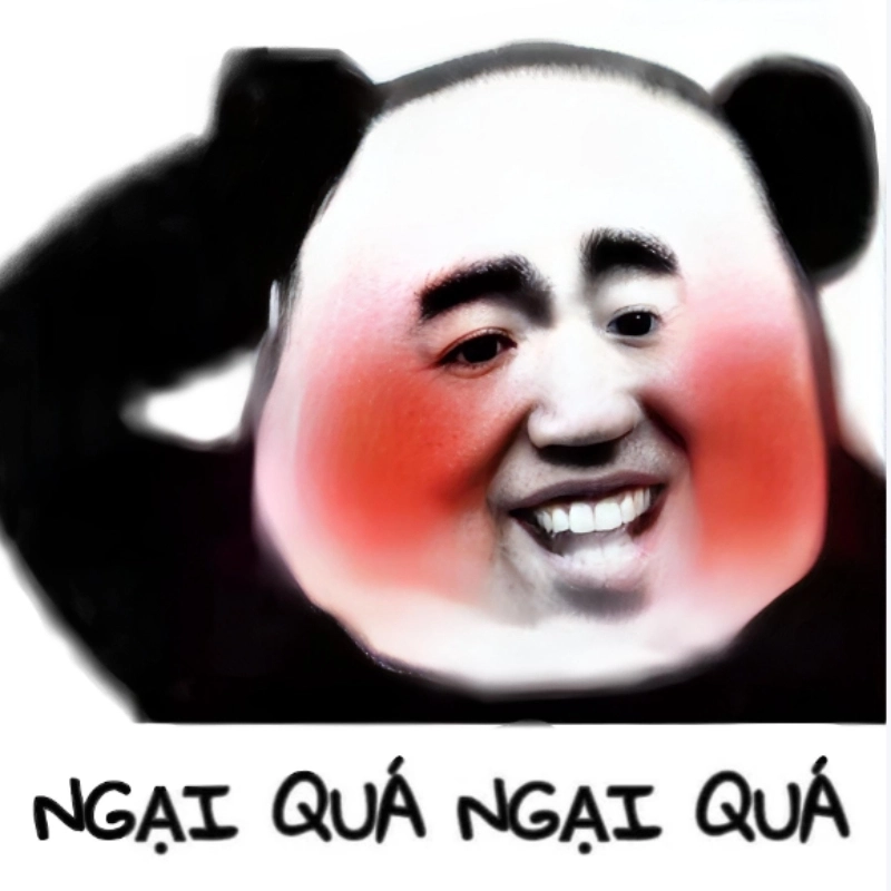 Khi bạn không biết trốn đi đâu như meme ngại quá ngại quá