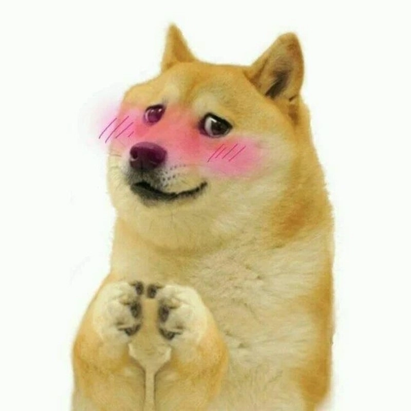 Khi cún cưng của bạn cũng xấu hổ như meme chó ngại ngùng