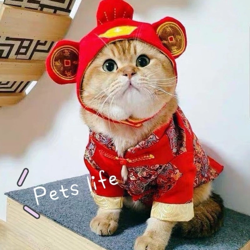 Dễ thương quá trời với hình mèo meme tết