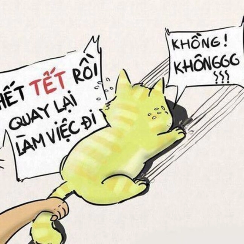 Tổng hợp meme sau tết diễn tả cảm xúc chân thực