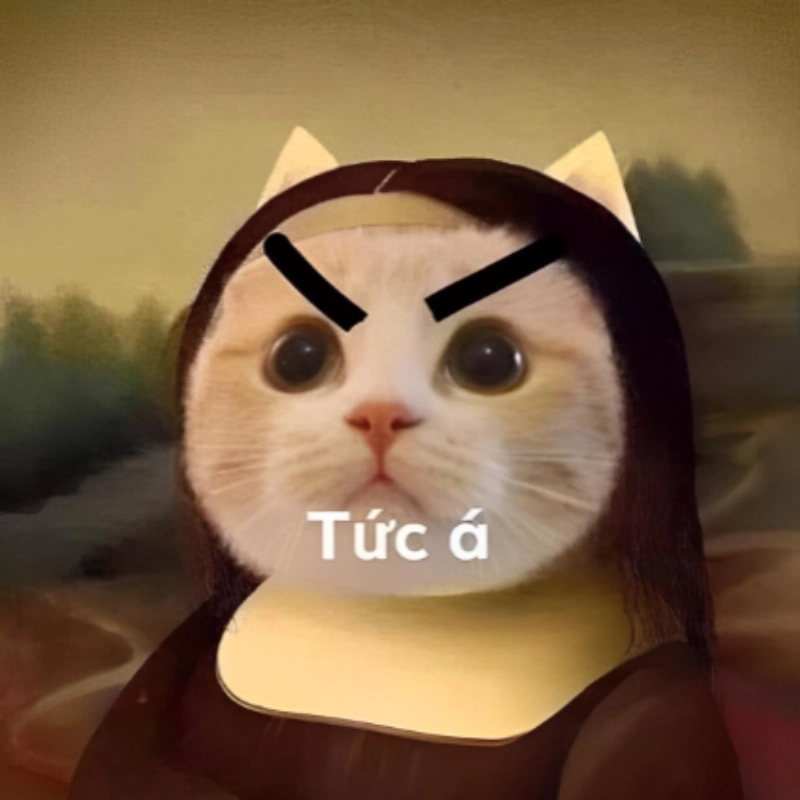 Meme siêu tức giận, nhìn thôi cũng thấy sôi máu rồi