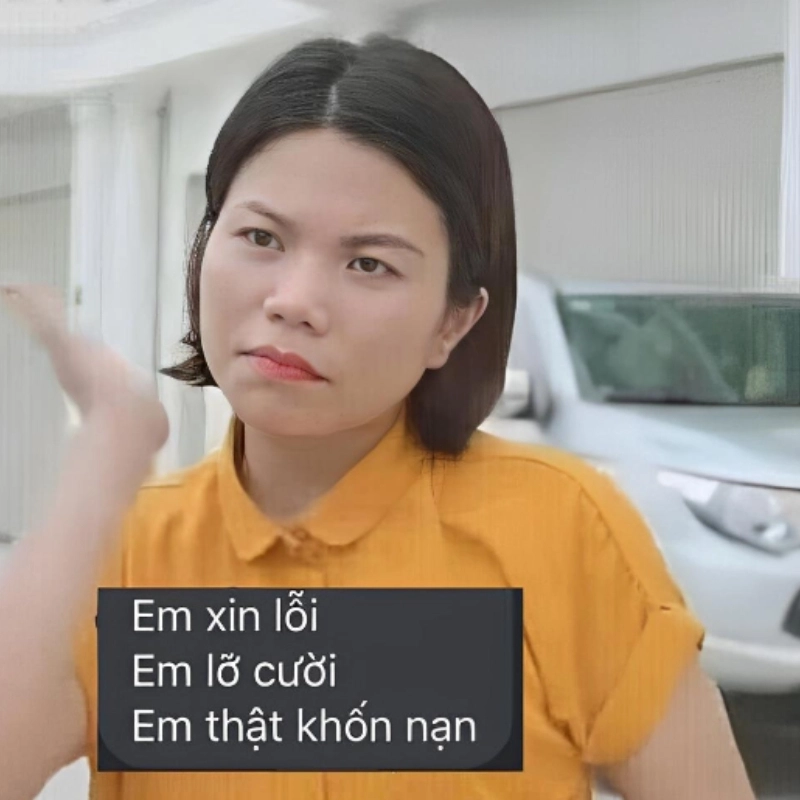 Xin lỗi vì đã cười meme, nhưng không thể nhịn được