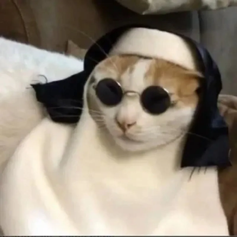 Đừng bỏ lỡ những ảnh meme mèo bựa siêu hài hước