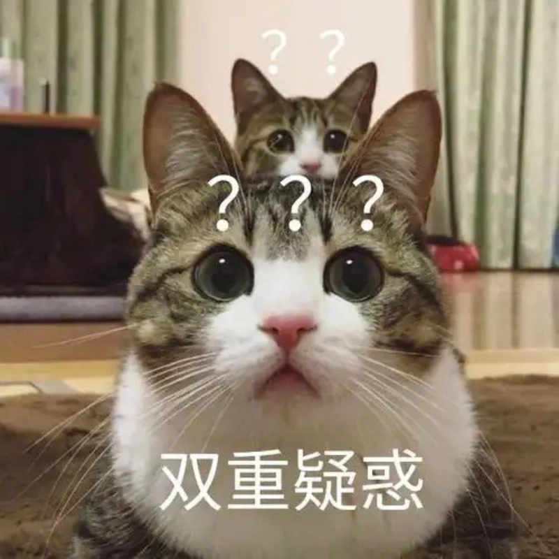 Xem ngay ảnh meme avatar vô tri mèo độc lạ
