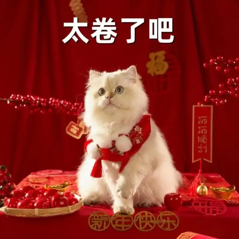 Tổng hợp ảnh meme mèo tết chất nhất 2024