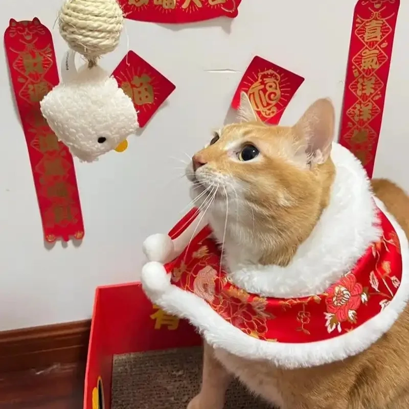 Thêm sắc xuân với ảnh tết meme mèo siêu đáng yêu