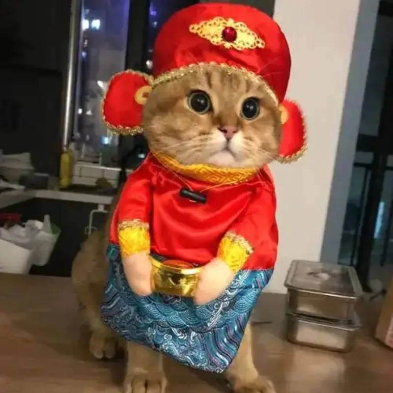 Nhìn là cười với ảnh meme mèo đón tết vui nhộn