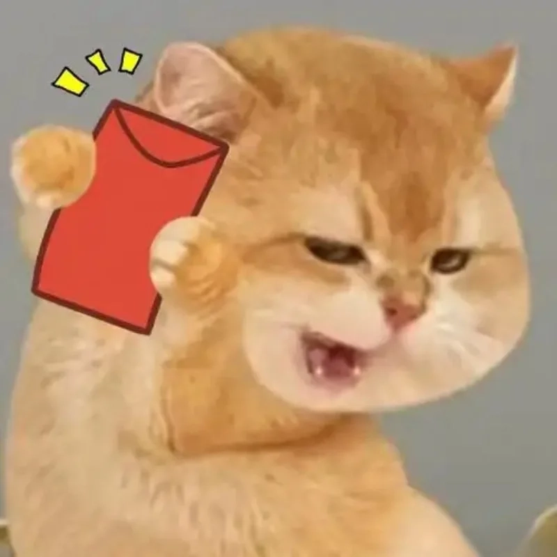 Loạt meme mèo bựa siêu hài cho năm mới tràn ngập niềm vui