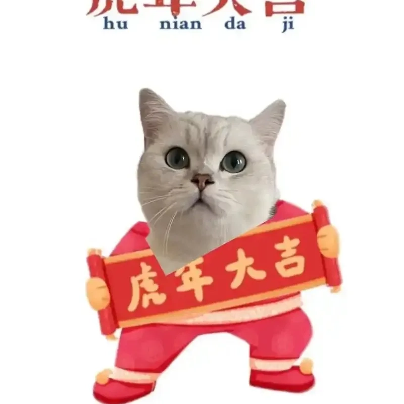 Tuyển tập ảnh chế meme mèo bựa cực chất