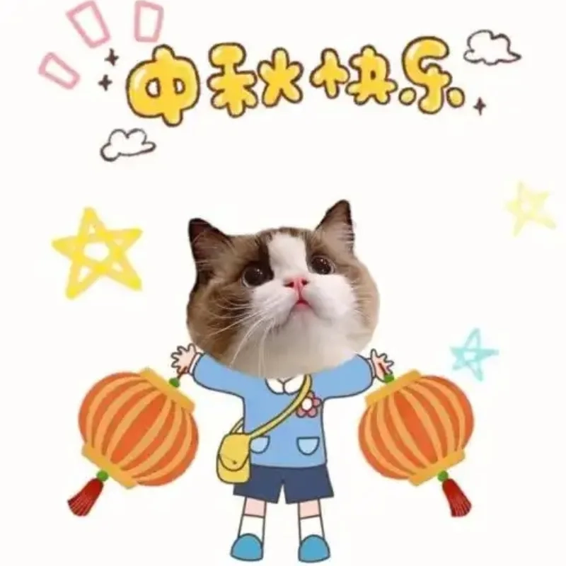 Vừa bựa vừa dễ thương, xem ngay hình mèo bựa cute