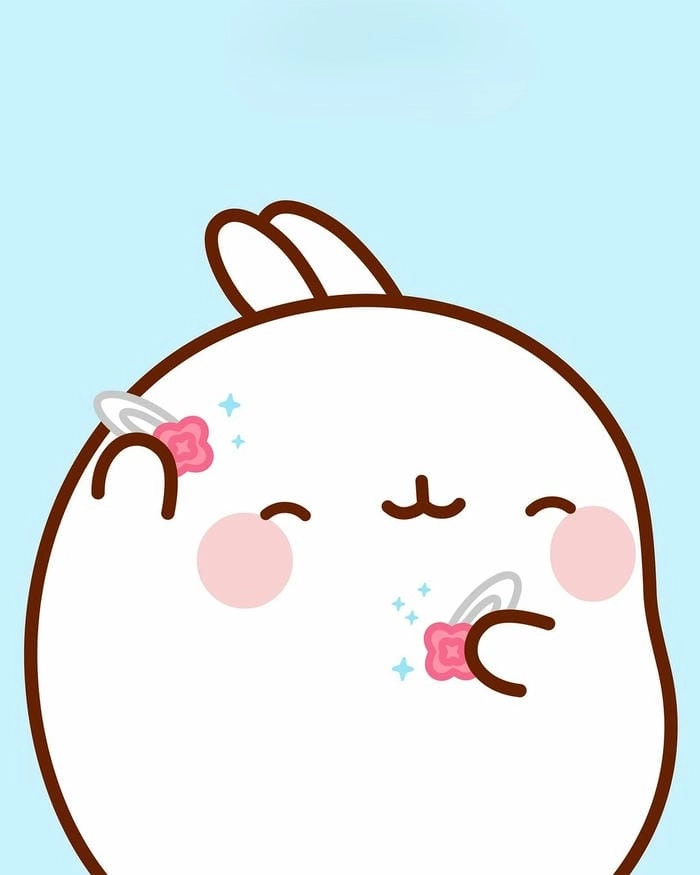 Bộ sưu tập chibi hình thỏ cute với phong cách đáng yêu độc đáo