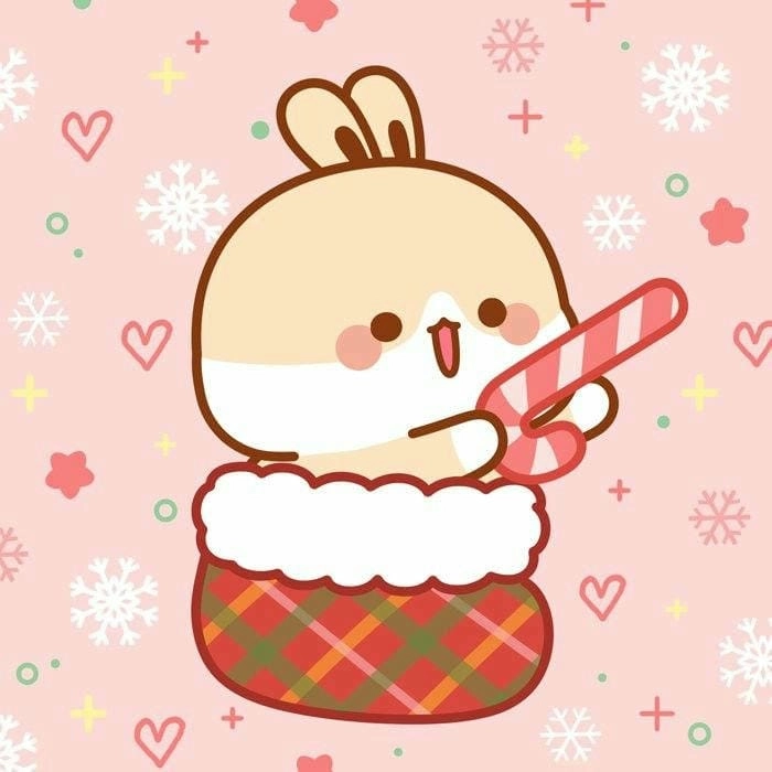 Ngắm nhìn con thỏ cute khiến ai cũng tan chảy vì độ dễ thương