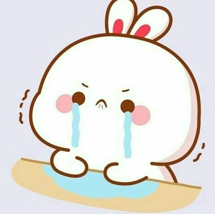 Cùng xem con thỏ cute đáng yêu khiến tim bạn rung động