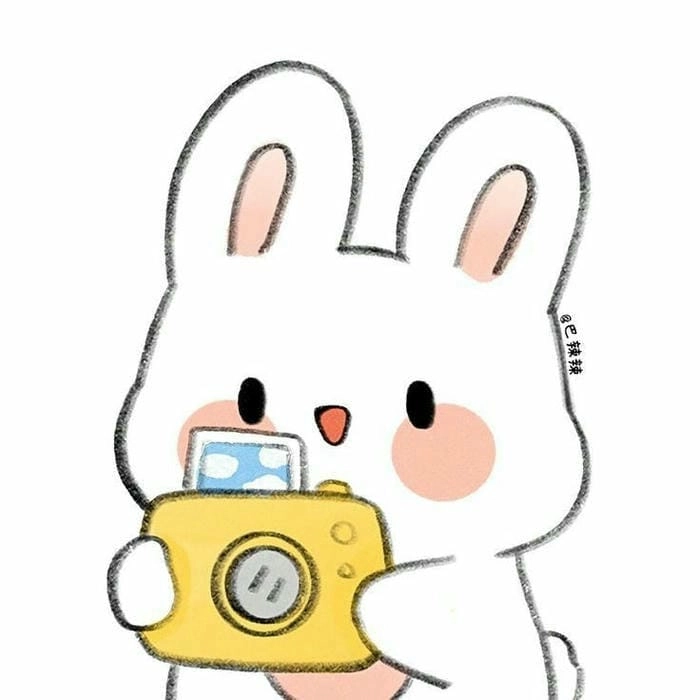 Thêm ngay những hình con thỏ cute vào bộ sưu tập hình ảnh đáng yêu của bạn