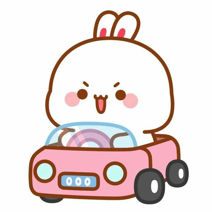 Ngắm nhìn những chú thỏ cute siêu đáng yêu và dễ thương nhất