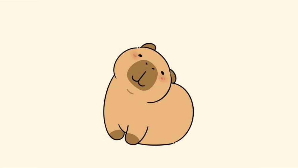 Bộ sưu tập chibi avatar avatar hình nền capybara cute chibi hot