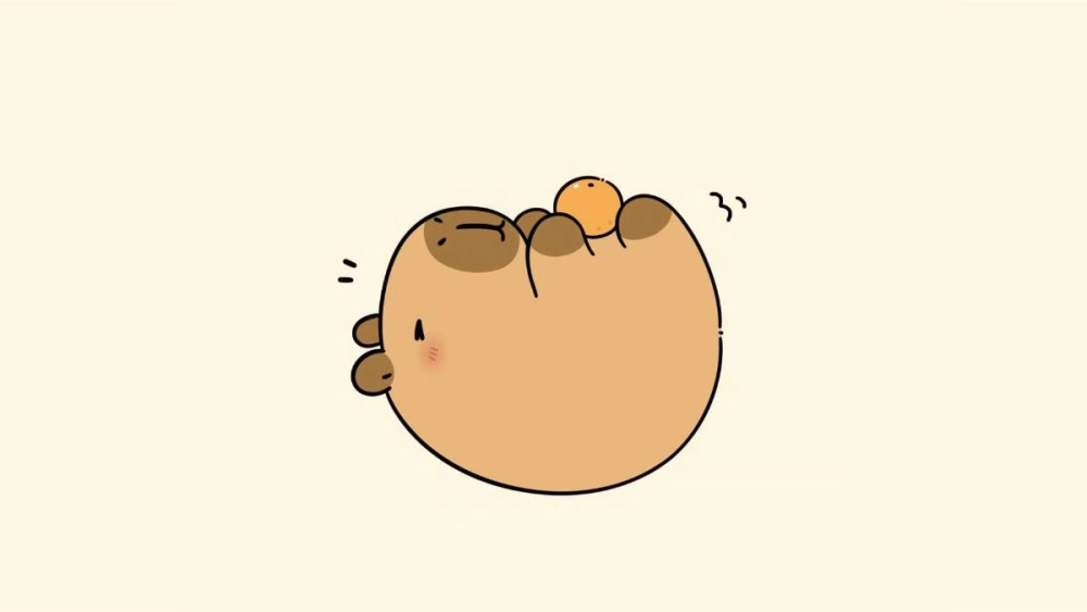 Bộ sưu tập avatar chibi chibi avatar hình nền capybara cute hot trend