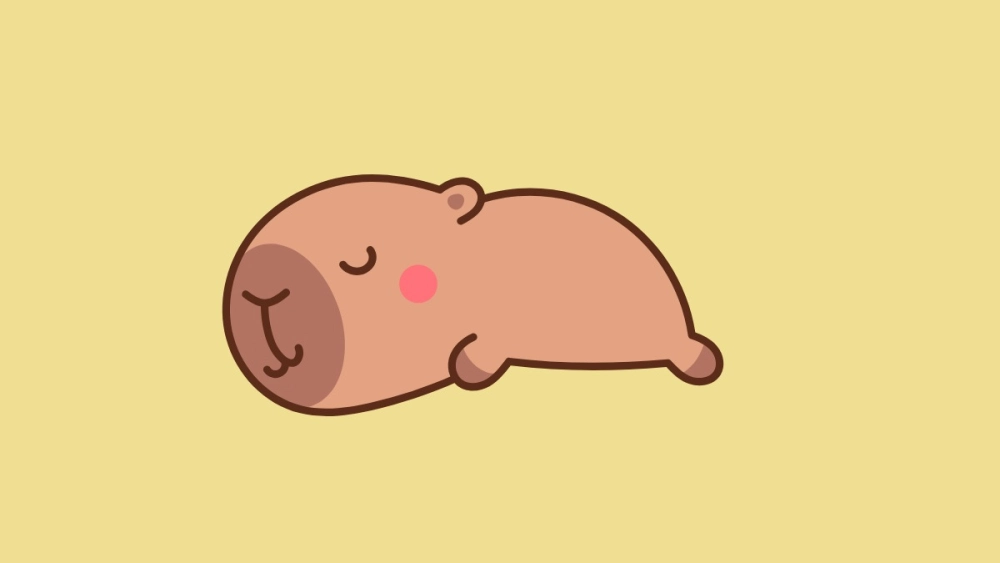 Chiêm ngưỡng chibi avatar avatar hình ảnh capybara cute chibi ngay