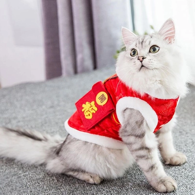 Cưng xỉu với avatar mèo meme tết không thể bỏ qua