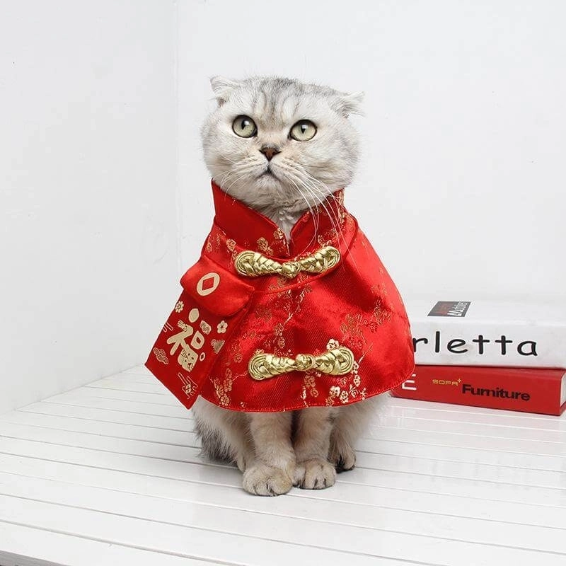 Đón năm mới với cheems meme tết lầy lội hết nấc