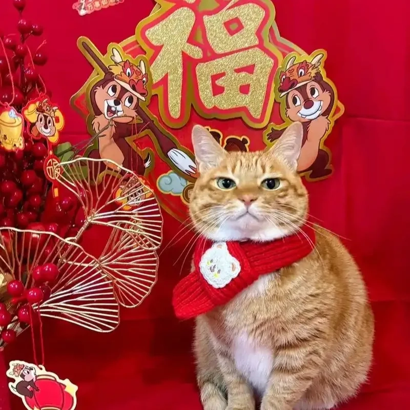 Cập nhật avatar meme mèo tết để đón may mắn cả năm