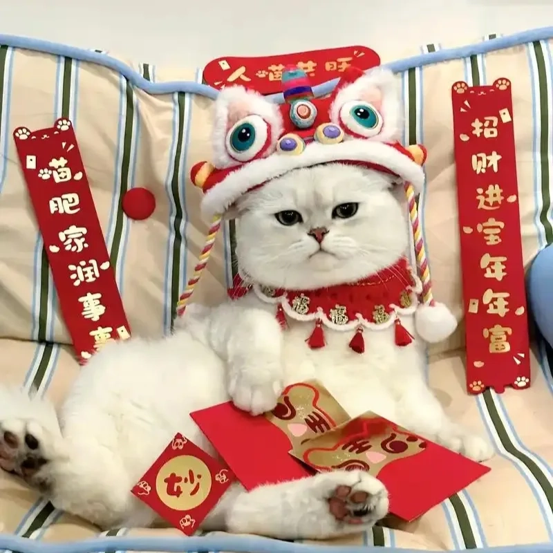 Năm mới thêm vui với avatar mèo meme tết siêu cute