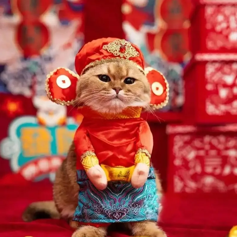 Đón năm mới hạnh phúc với avatar con mèo tết meme vui nhộn