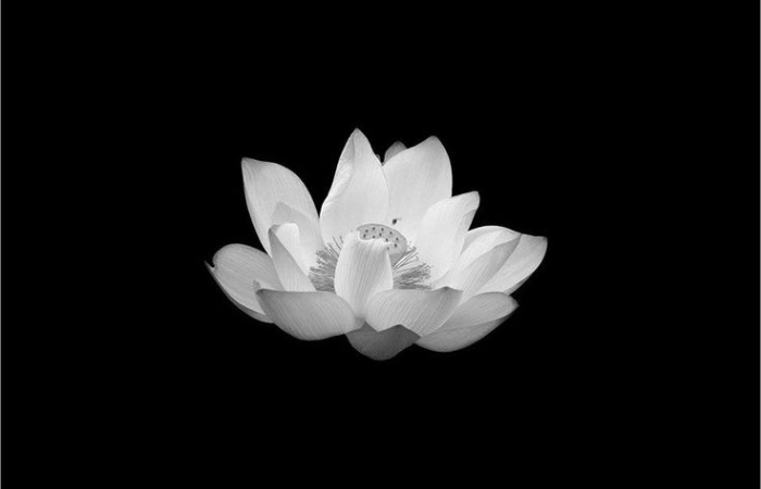 Avatar tang đen thể hiện lòng thành kính