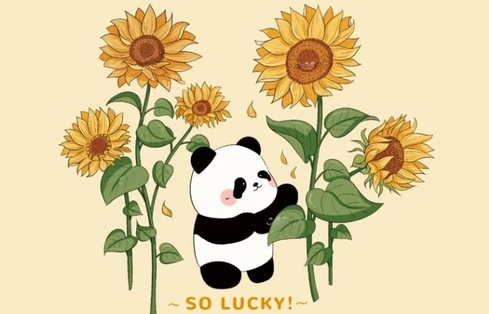 Panda gấu, nhỏ nhắn nhưng mang lại cảm giác vui vẻ