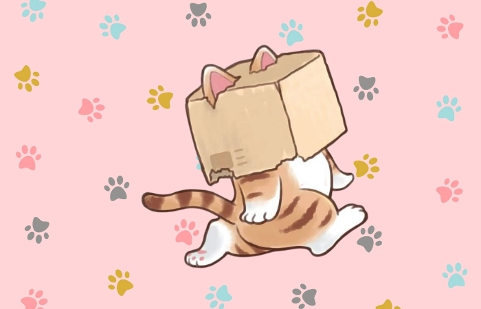 Avt mèo cute giúp bạn thể hiện phong cách ngộ nghĩnh