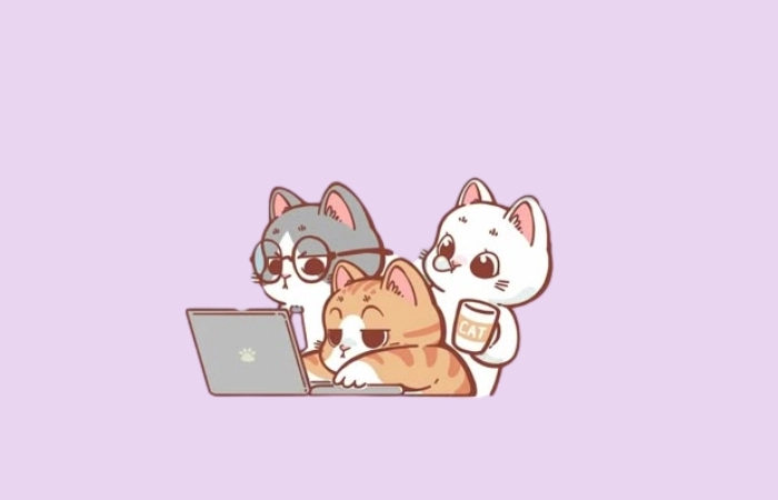 Avatar mèo cute anime dễ thương không thể bỏ lỡ