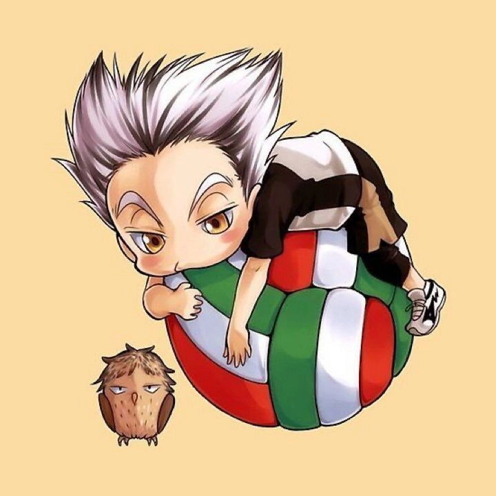 Bokuto Cute khoảnh khắc đáng yêu hiếm hoi của chàng chủ công sôi nổi