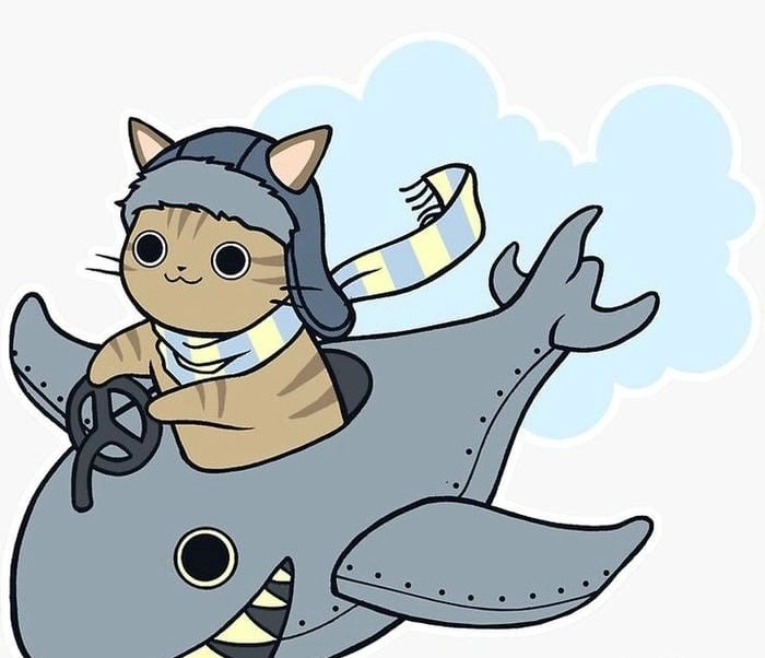 Khám phá câu chuyện thú vị về cá mập chibi trong ảnh