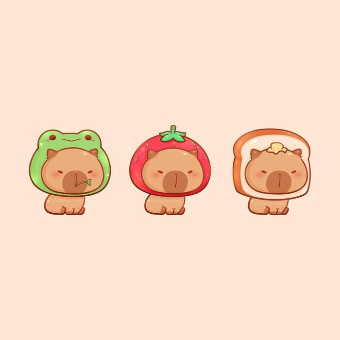 Avatar capybara chibi cute dễ thương dành cho người yêu thích capybara