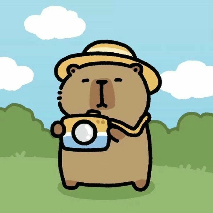 Hình ảnh nền hình ảnh nền capybara chibi đẹp dành cho fan của capybara