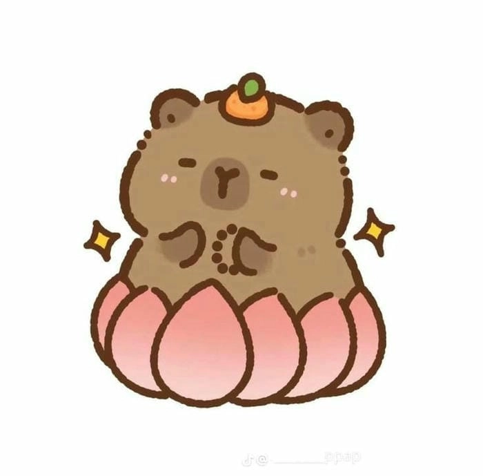 Capybara meme chibi vui nhộn và hài hước cho những ai thích meme