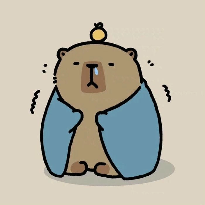 Capybara chibi avatar đáng yêu dành cho trang cá nhân
