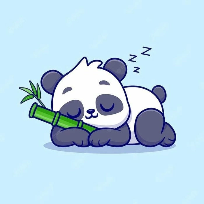 Hình chibi cute chibi gấu trúc làm avatar gây chú ý cực mạnh